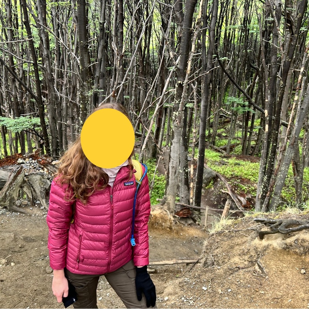 EUC Patagonia Nano Puff jacket S ranger red